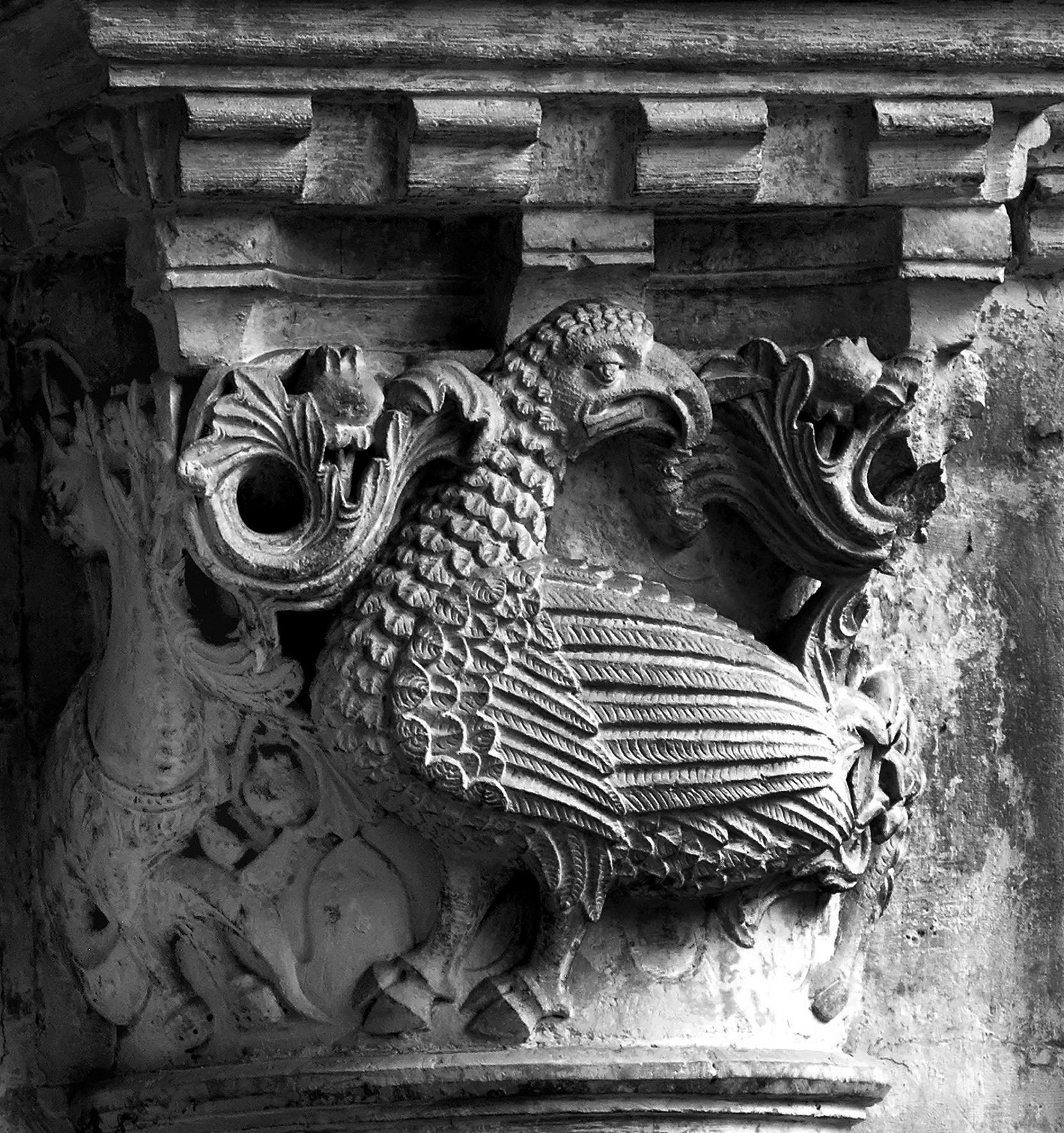 13 - Oiseau hybride luttant en se  tournant vers Dieu et se transforme en colombe PM